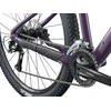 None Sieviešu dviratis LIV Tempt 3. 29" Tyrian Violetinė ,S,