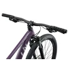 None Sieviešu dviratis LIV Tempt 3. 29" Tyrian Violetinė ,S,