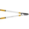 Forte Tools Forte priekalo genėtuvas