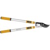 Žoliapjovės žalioms šakoms Forte Tools, 100 cm