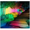 OLLO LED RGB Prožektors 50W Multi Krāsas 4750lm IP65 SMD2835 CRI>80 PF>0.9 EEI:F