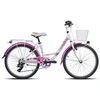 Outliner Bicycle DVIRATIS MTB 24 18G MERGAIČIŲ PLIENINIS
