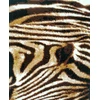 Domoletti CARPET SHIRAZ 1252 B11 1.2X1.7 M