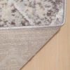 Domoletti CARPET OMEGA E199APEX37 1.6X2.3M