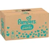 Pampers Active Baby Pants Sauskelnės, 8 Dydis, 112 vnt.