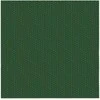 PAW Servetėlė, 330 mm x 330 mm, žalia, 20 vnt.