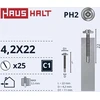Haushalt „Memorysolution“ savisriegis 4,2x22 metalas/metalas+grąžtas ZN 25 vnt.