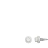 Savisriegiai Haushalt, DIN 7504K, 4.8 x 19 mm, 15 vnt.