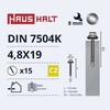 Haushalt Atminties sprendimas SELF SCR 4,8X19 DIN7504K MET+EMPD 15PCS