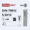 Savisriegiai Haushalt, DIN7981C, 5,5 x 13 mm, 30 vnt.