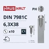 Savisriegiai Haushalt, DIN7981C, 6.3 x 38 mm, 10 vnt.
