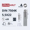 Savisriegiai Haushalt, DIN 7504K, 5,5 x 22 mm, 20 vnt.