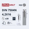 Haushalt E Normpro SELF SCREW 4,2X16 DIN7504N SQ ZN 30PCS