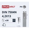 Savisriegiai Haushalt, DIN 7504N, 4.2 x 13 mm, 30 vnt.