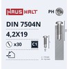 Savisriegiai Haushalt, DIN 7504N, 4.2 x 19 mm, 30 vnt.