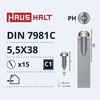 Savisriegiai Haushalt, DIN 7981C, 5.5 x 38 mm, 15 vnt.