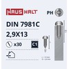 Savisriegiai Haushalt, DIN7981C, 2.9 x 13 mm, 30 vnt.