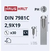 Savisriegiai Haushalt, DIN7981C, 2.9 x 19 mm, 30 vnt.