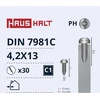 Savisriegiai Haushalt, DIN7981C, 4,2 x 13 mm, 30 vnt.