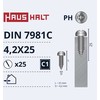 Savisriegiai Haushalt, DIN7981C, 4,2 x 25 mm, 25 vnt.
