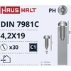 Savisriegiai Haushalt, DIN7981C, 4,2 x 19 mm, 30 vnt.