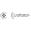 Savisriegiai Haushalt, DIN7981C, 4,2 x 19 mm, 30 vnt.