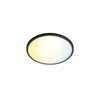Lubinis šviestuvas Šviestuvas lubų Philips, 22 W, LED, 2200 - 6500 °K