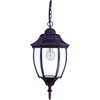 Pakabinamas šviestuvas Lampa wisząca Domoletti LAMP SUSPENDED EL-560HG