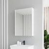 Domoletti MIRROR CABINET SV 50A-5