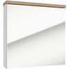 Deftrans CABINET MIRROR STILLA E60 1 DOOR