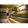 Sauna fan. 50 x 100 cm. various colours