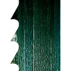 Pjovimo juosta Basa 4 2895x15x0,65mm 4 TPI, Scheppach