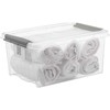 Plastikinė dėžė fiksuojamu dangčiu Pro Box Plast Team 32L permatoma