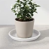 Plast. vazono lėkštė DOMOLETTI STTE00019-110. DIA19 cm. balta