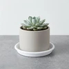 Plast. vazono lėkštė DOMOLETTI STTE0013-110. DIA13 cm. balta