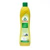 Šveitimo pienelis Frosch Citrus, akmeniniams paviršiams/metaliniams paviršiams/plastikui, 0.5 l