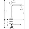 Hansgrohe praustuvo maišytuvas Rebris S 240 CoolStart, chromo spalvos (72580000)
