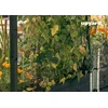 Priedas Upyard RTS Juodas, 1180 mm x 41 mm