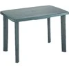ProGarden Stalas Faretto 100x70cm žalias