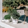 Vazonas HEOS su įdėklu D468xH440 mm balta sp. Prosperplast