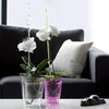 Osłonka Coubi 16 cm violetinė PROSPERPLAST