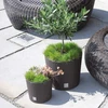 Vazonas RATO ROUND su įdėklu 4,75/4 L D200xH190 mm mocca sp. Prosperplast