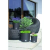Vazonas su įdėklu 4,75/4 l D200xH190 mm antracitas RATO ROUND Prosperplast