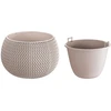 Prosperplast Gėlių vazonas Splofy Bowl Rudas 11x14cm