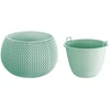 Prosperplast Vazonas Splofy Bowl Žalias 16x24cm
