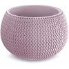 Prosperplast Vazonas Splofy Bowl Violetinis 16x24cm