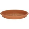 Puķu poda šķīvis Domoletti STTE0017-100, brūna krās., 17 cm