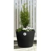 4Living Termo sėjamoji Piccolo 39 cm juoda
