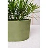 Puķu pods Domoletti M-18C26, spw, 26 cm x 13 cm, zaļa