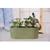 Greenship Gėlių vazonas Domoletti M-18C32, žydras, 32 cm x 16 cm, žalias